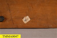臺灣鯪鯉藏品圖，第12張
